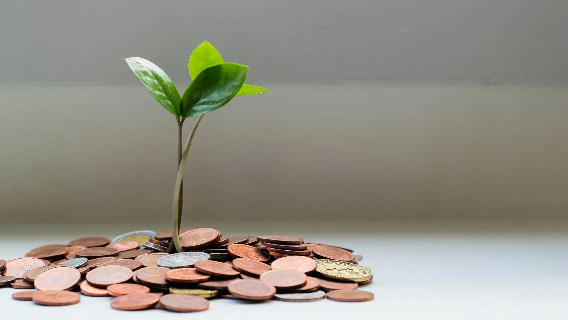 Scaling Tech for Global Growth