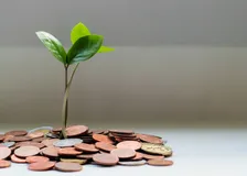 Scaling Tech for Global Growth