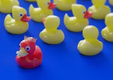 Future of Loyalty: Hyper-Personalisation